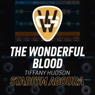 The Wonderful Blood Stadium Song Preset