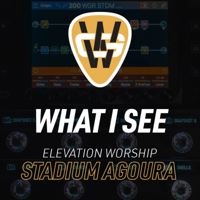 What I See Stadium Song Preset